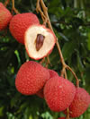 Sweet Heart  Lychee Fruit